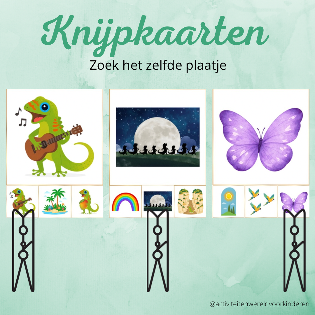 Gekkie de gekko - Knijpkaarten zelfde plaatje