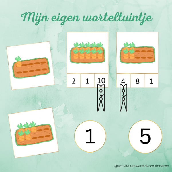Groeien en bloeien - Mijn eigen worteltuintje