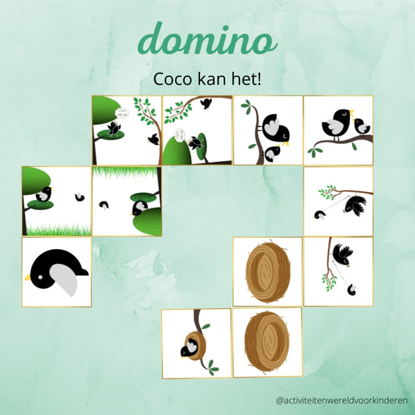 Coco kan het! - Domino