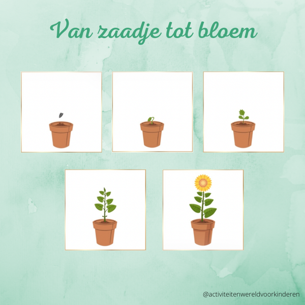 Groeien en Bloeien - van zaadje tot bloem