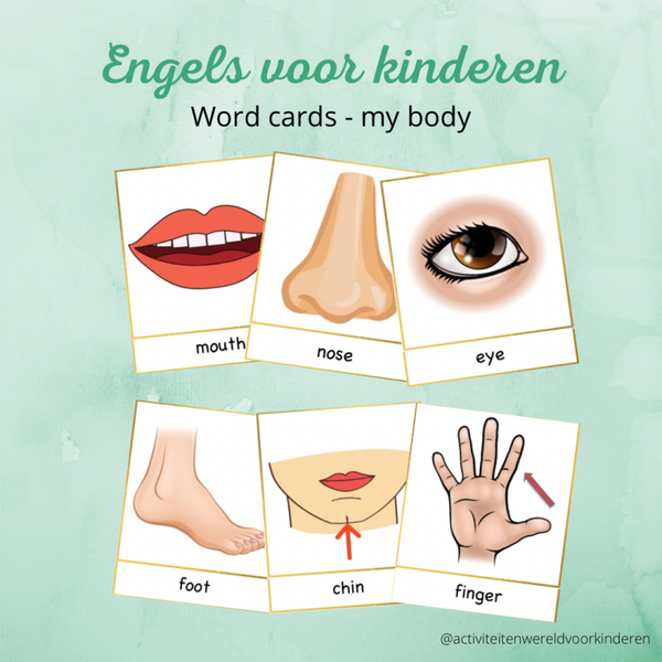 Engels voor kinderen - Word cards - My body