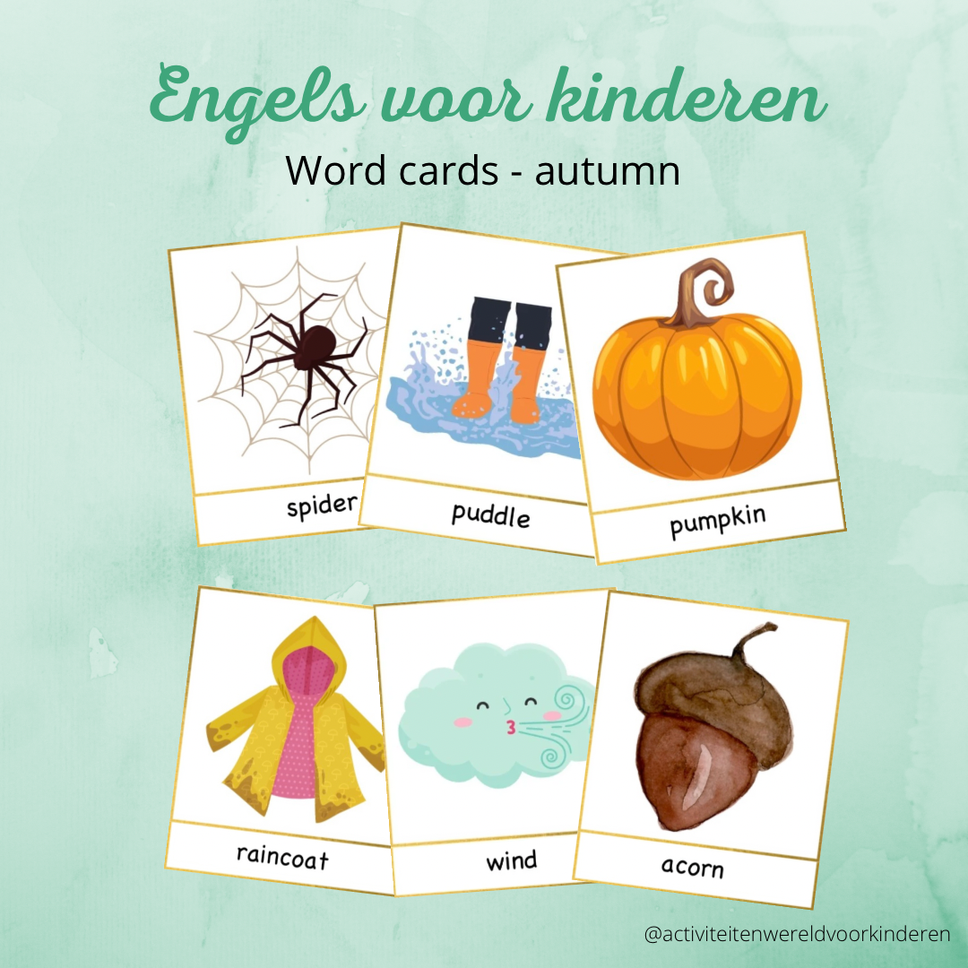 Engels voor kinderen - Word cards - autumn