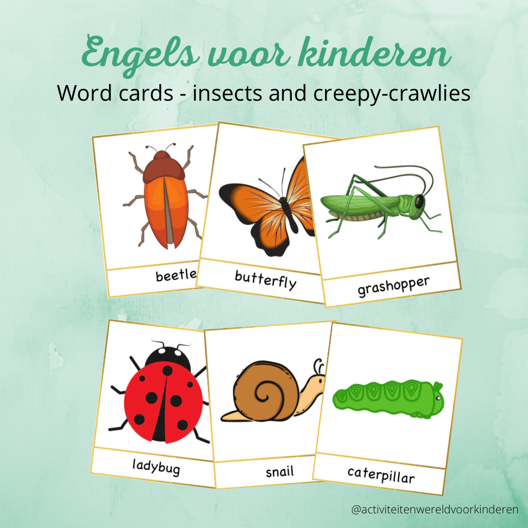 Engels voor kinderen - Word cards - Insects and creepy-crawlies