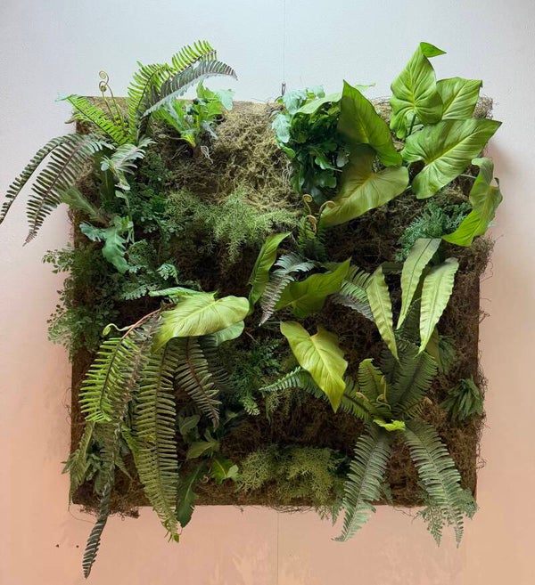 Groene wand