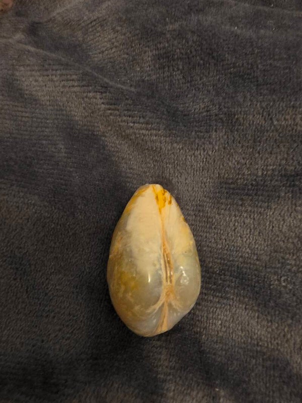 Opalised Shell