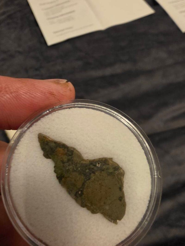 Lunar Meteorite (Troctolitic Anorthositic Breccia)