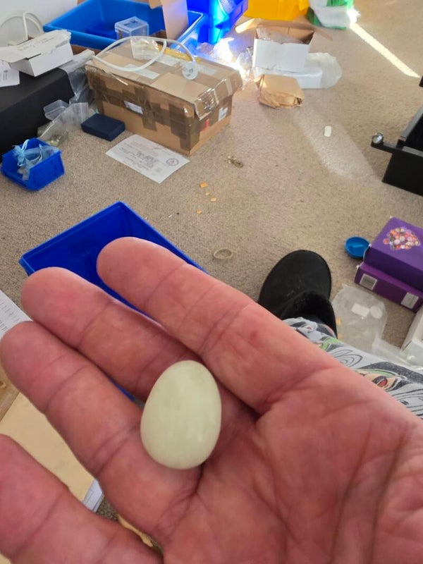 Chinese Jade tumbles