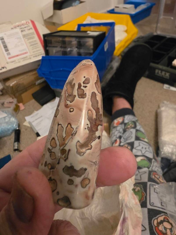 Polished Flower Jasper