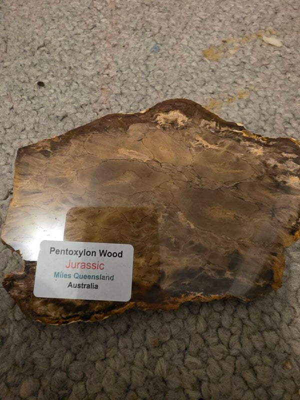 Pentoxlyon Wood
