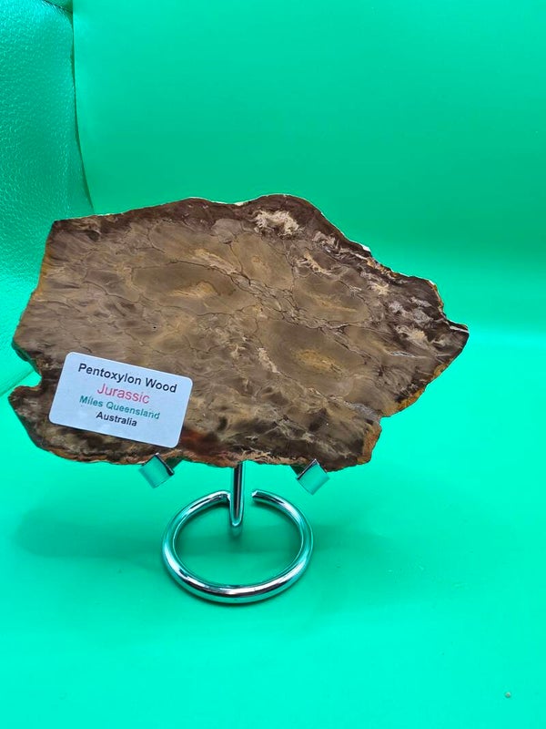 Pentoxlyon Wood