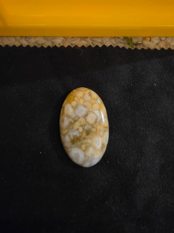 King Cobra Jasper Cabochon