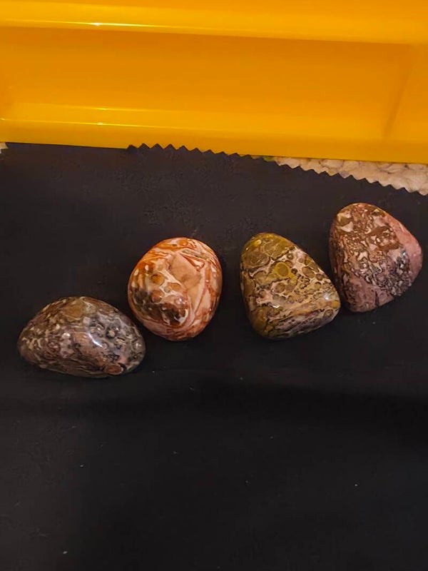 Snake Jasper tumbles