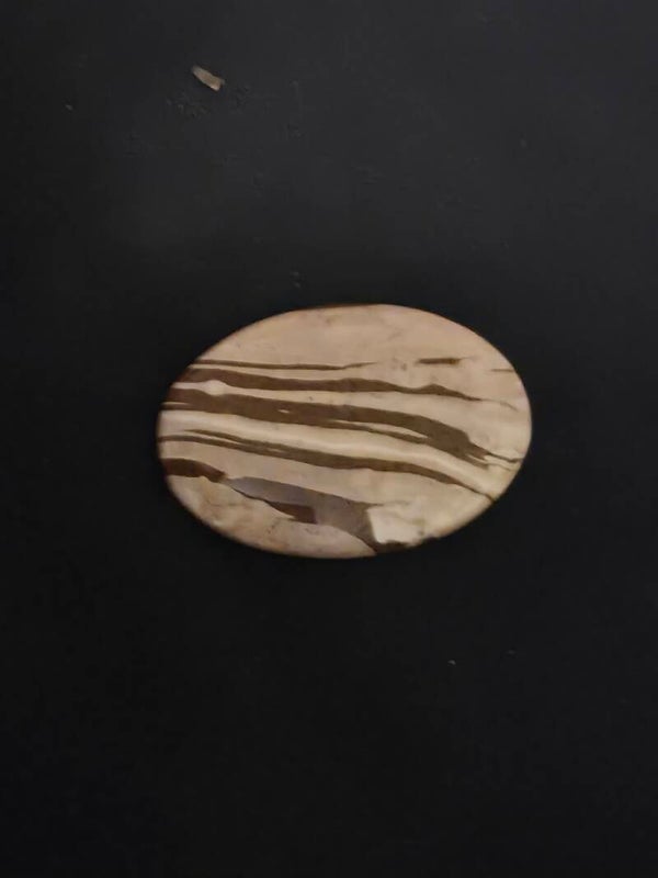 Zebra stone Cabochon