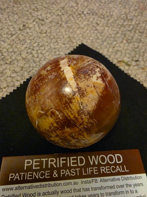 Petrified wood Sphere