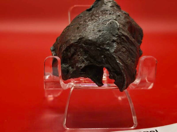Sikhote-Alin iron meteorite shrapnel