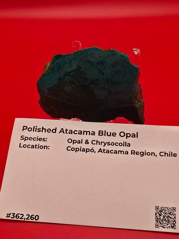 Polished Atacama Blue Opal