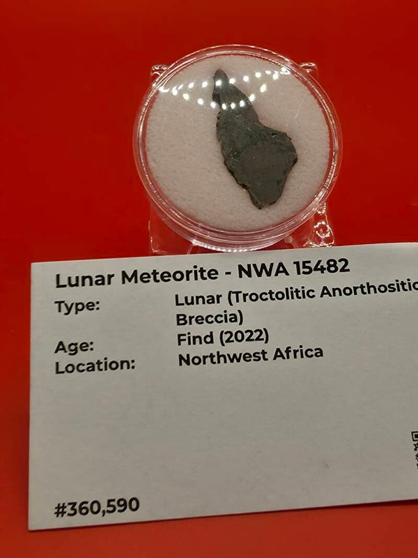 Lunar Meteorite (Troctolitic Anorthositic Breccia)