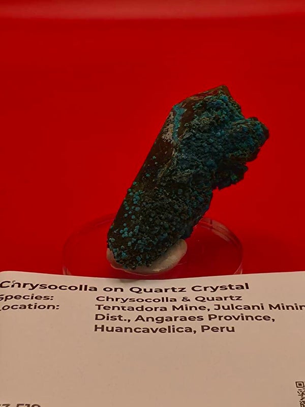 Chrysocolla on Quartz crystal