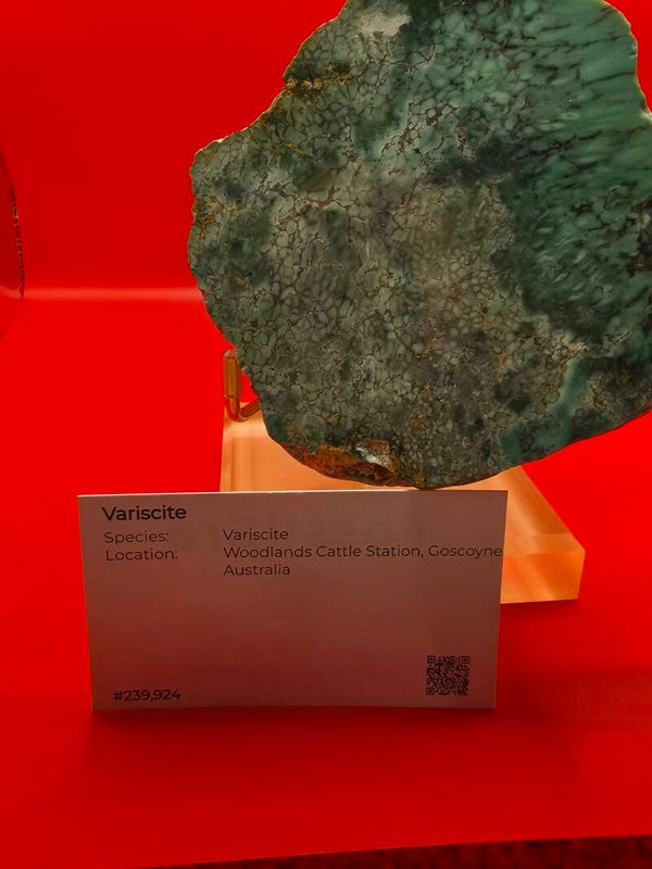 Variscite mineral specimen,  polished on one side