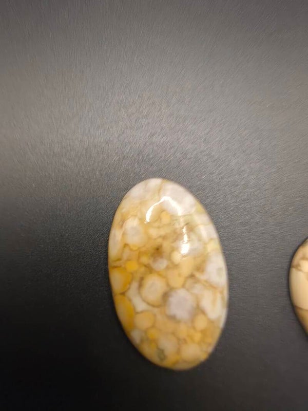 King Cobra Jasper Cabochon