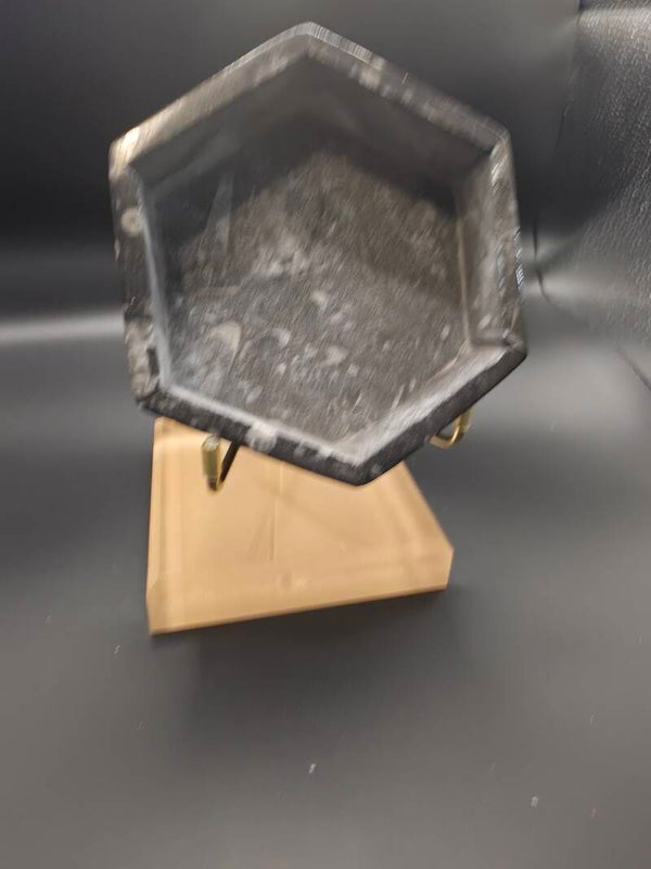 Orthoceras polished fossil box