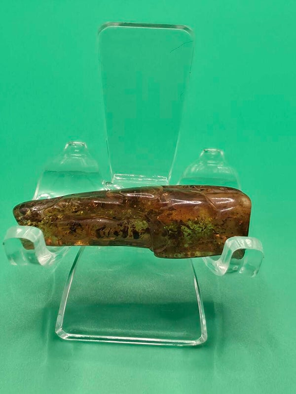 Amber with inclusion