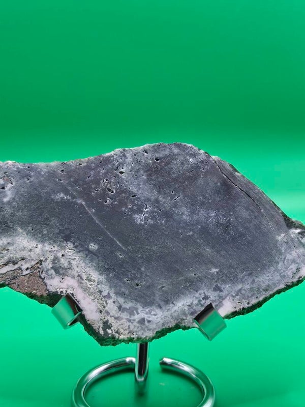 Petrified wood