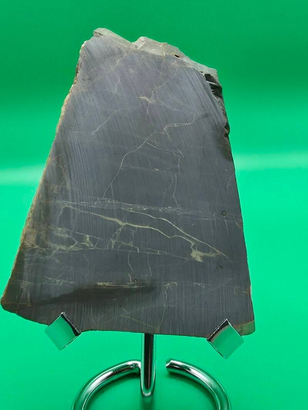 Petrified wood