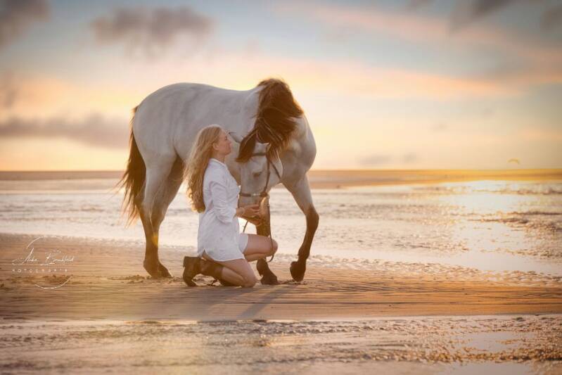 Junge Frau mit Pferd am Strand im Sonnenuntergang.