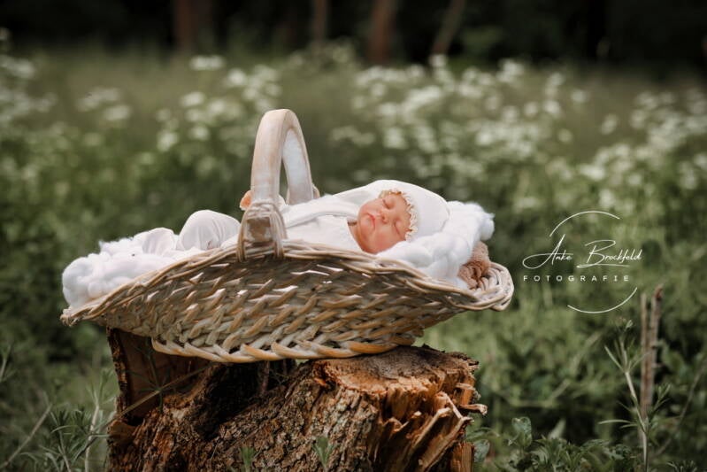 Baby liegt schlafend im Körbchen auf  Baumstumpf.