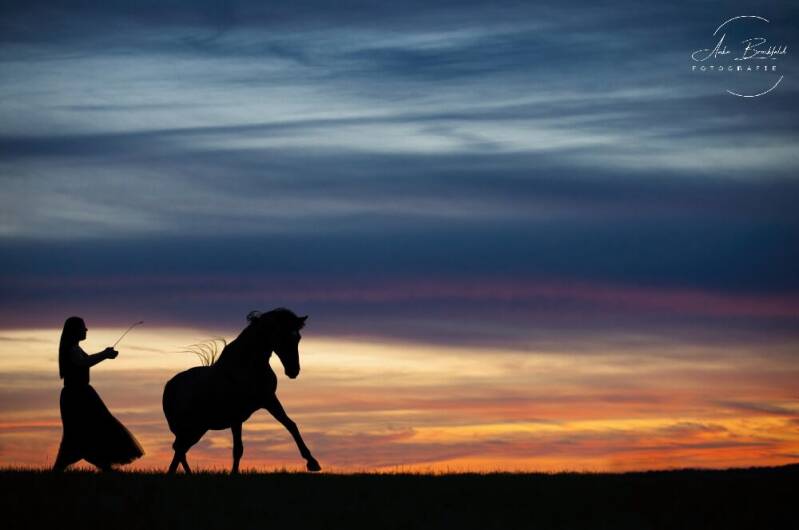 Galoppierendes Pferd als Silhouette mit Mädchen im Kleid bei Sonnenuntergang.