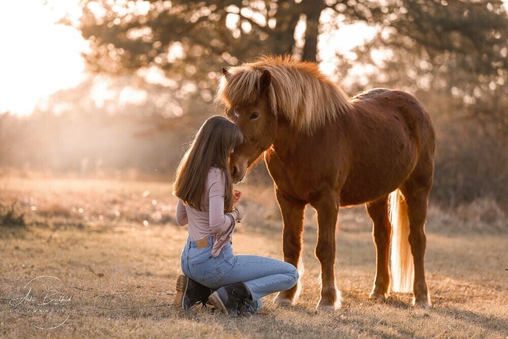 Junge Frau kniet vor Pferd im Sonnenuntergang.. 