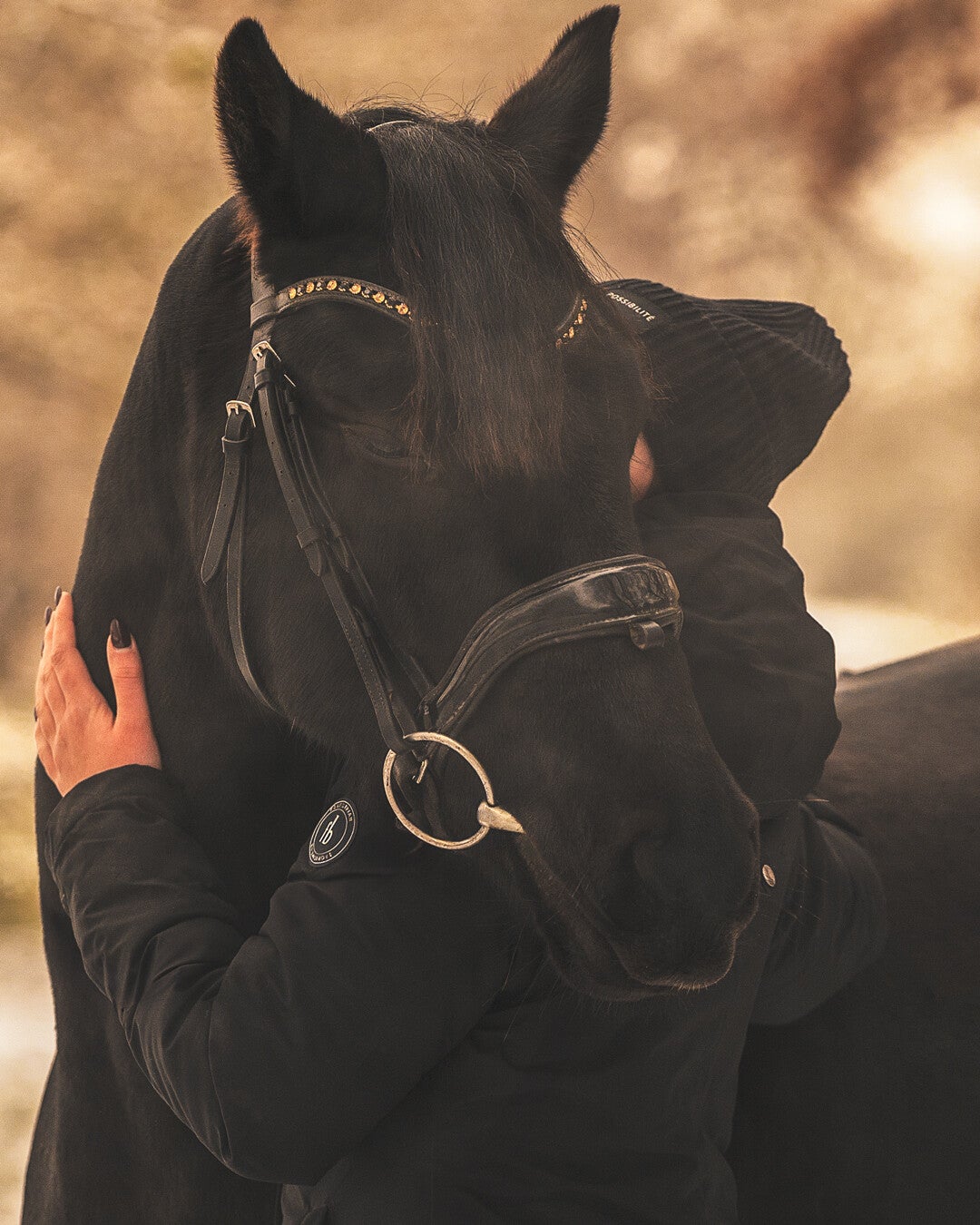 Professionale Tierfotografin ,Pferdefotografie ,Hamburg Pferdeshooting,Vierlanden Christine Riecken ,Zauberlichtmalerei  Christine Riecken deine Fotografin aus Hamburg 