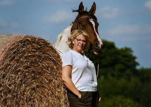 Pferd ,Pferdefotografie Hamburg Fotografin Schleswig Holstein Niedersachsen,Hunde ,Hundefotografie ,Fotograf ,