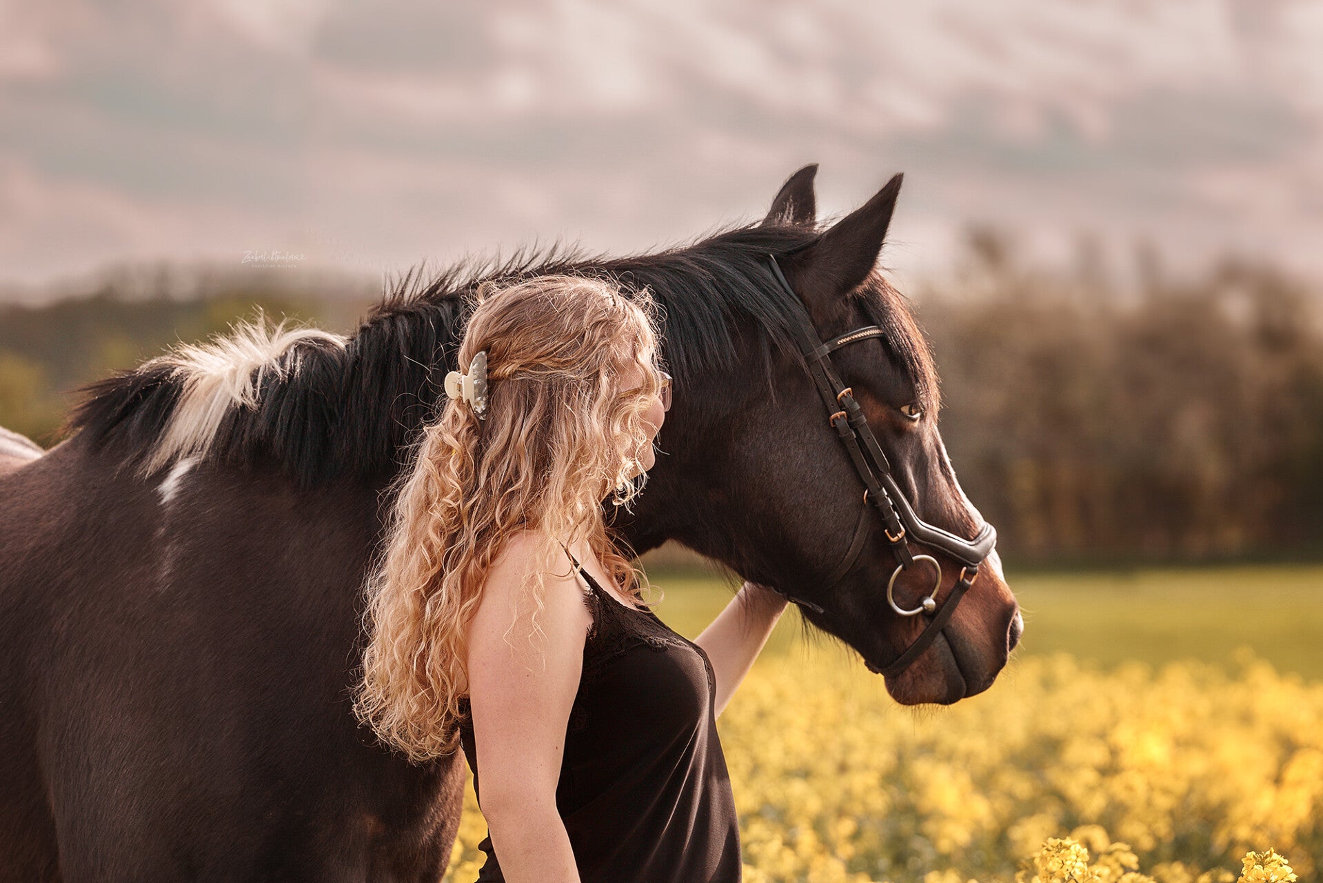 Professionale Tierfotografin ,Pferdefotografie ,Hamburg Pferdeshooting,Vierlanden Christine Riecken ,Zauberlichtmalerei  Christine Riecken deine Fotografin aus Hamburg 
