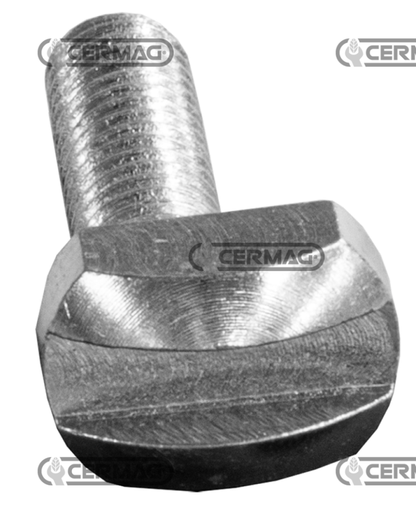 Vite speciale per premilama PER BARRE FALCIANTI BCS DUPLEX "GOLD"