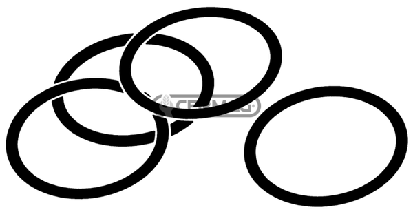 Anelli di tenuta O-ring  Sezione 2.62 mm  Diametro interno 12.37 mm