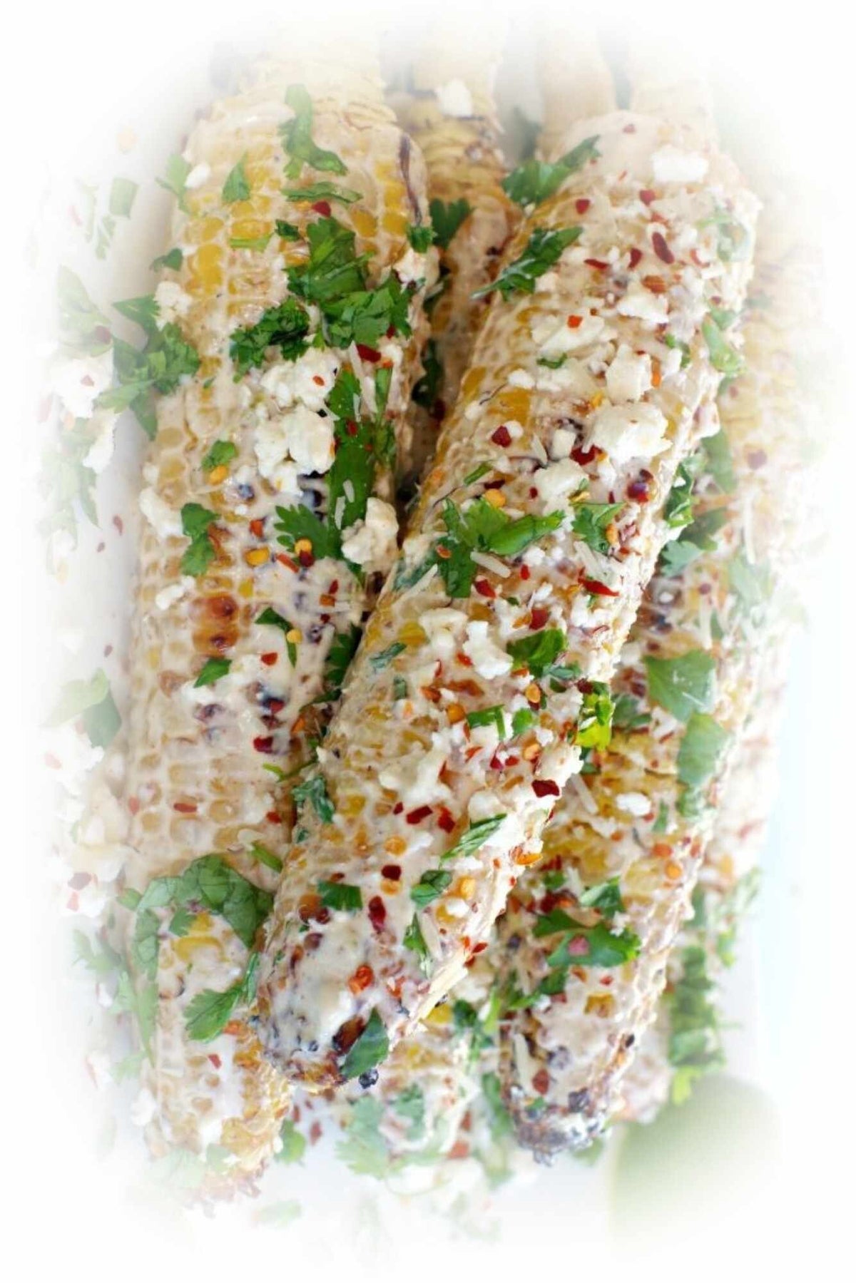 Zesty Cilantro Lime Guacamole Dip Mix Recipes / Recipe Ideas