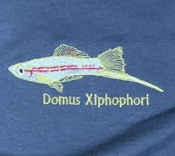 FRAMED EMBROIDERED FISH
