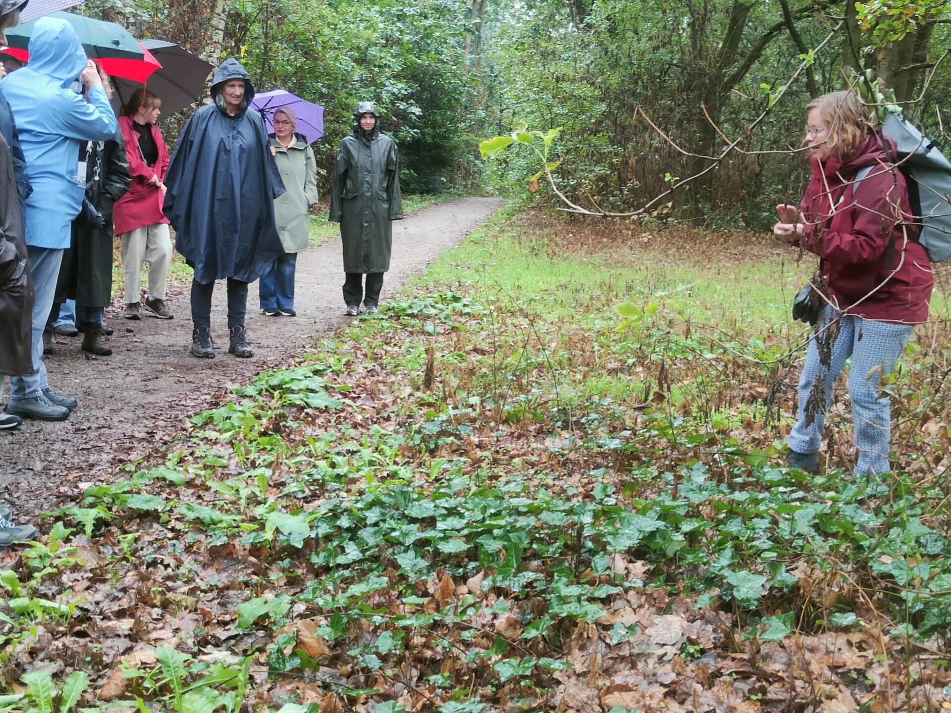 Wildplukwandelingen Nijmegen