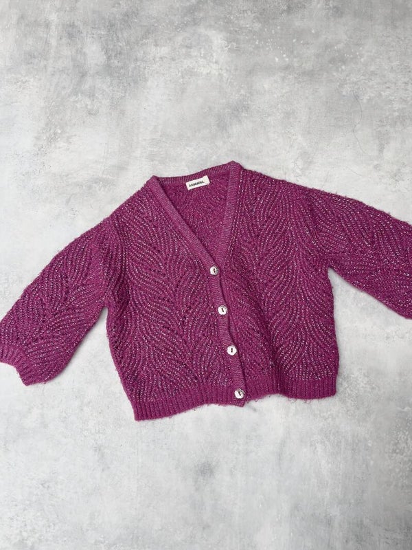 Ammehoela glitter vest - Maat 86/92