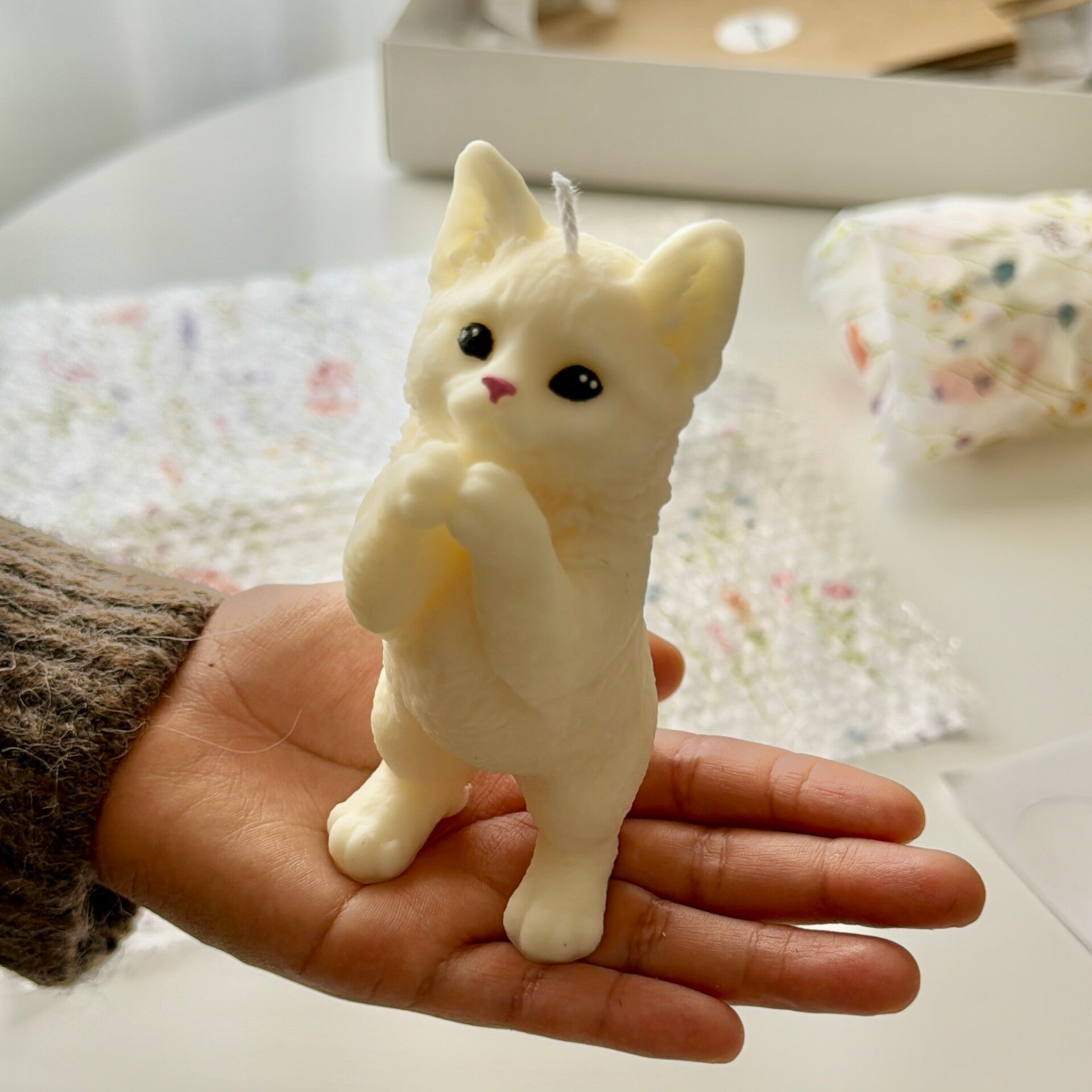 PETS