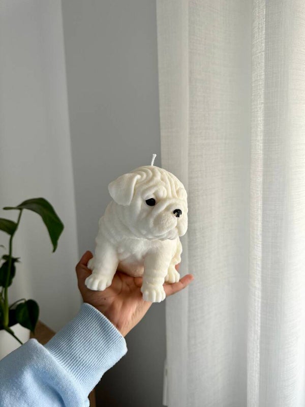 Vela BULLDOG INGLES