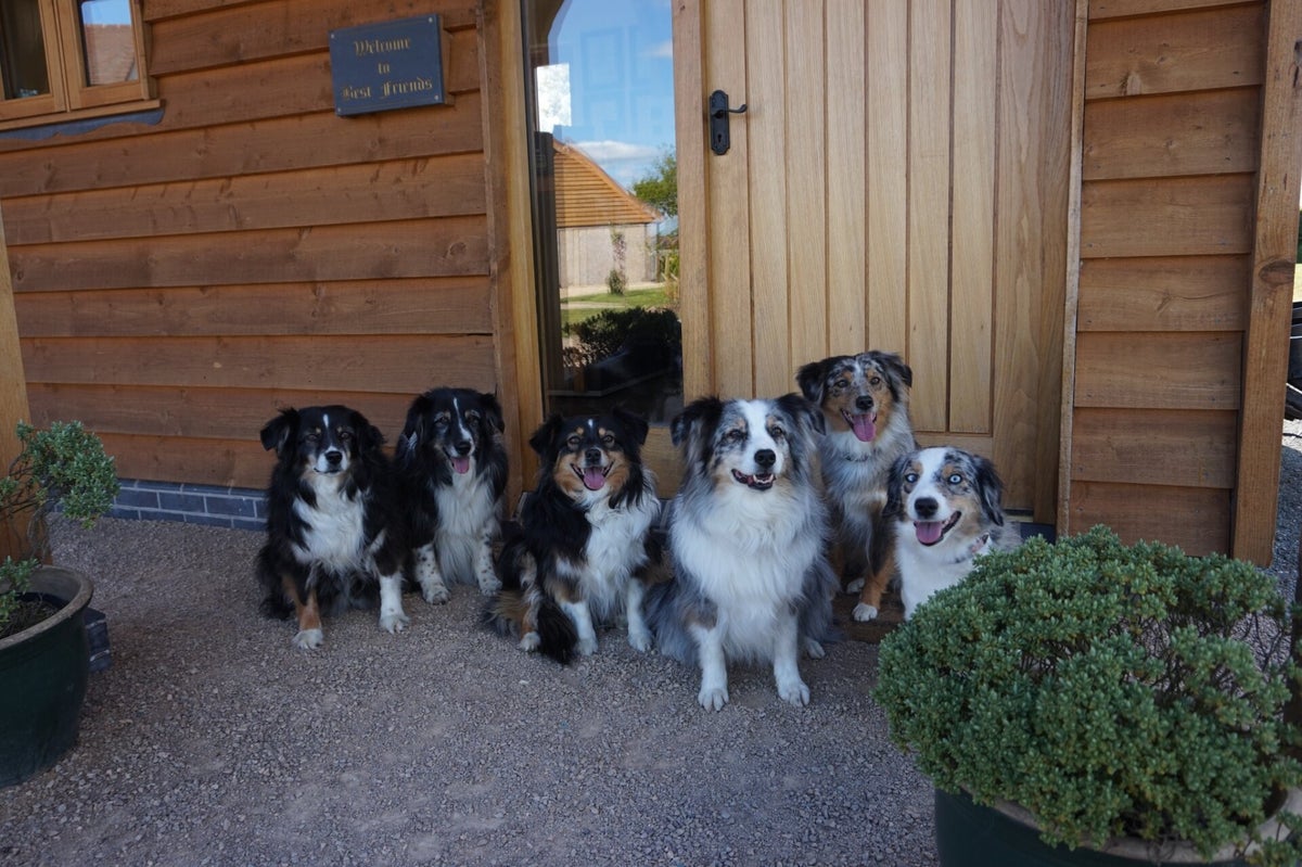 Best Friends Grooming Salon