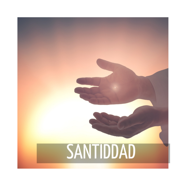 ESTAMOS LLAMADOS A LA SANTIDAD