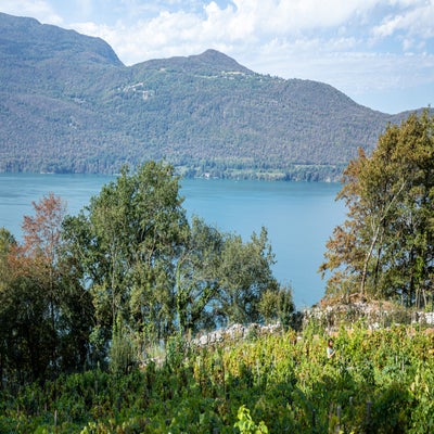 adrien-baud-img_8378.jpg