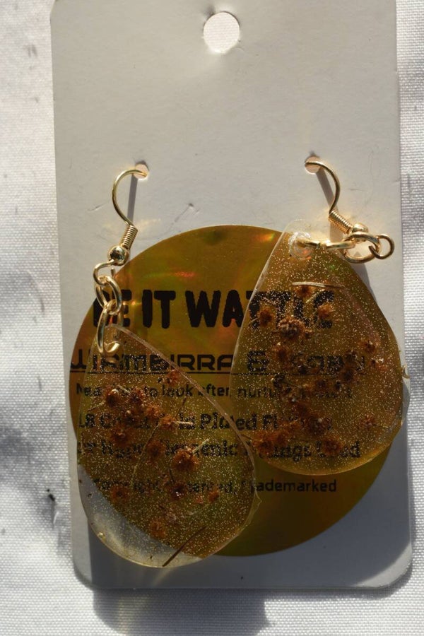 Be It Wattle Large Oval Earrings - Clear