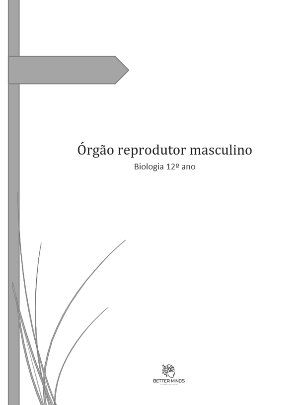 1-Órgão reprodutor masculino
