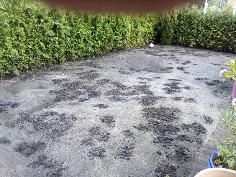 aankomst bij de tuin.