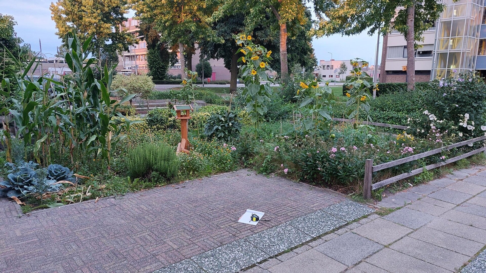 Tuin leeg gehaald???